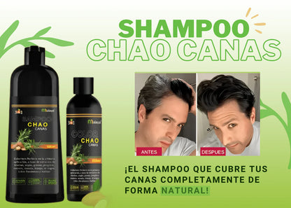 CHAMPÚ + TRATAMIENTO CHAO CANAS